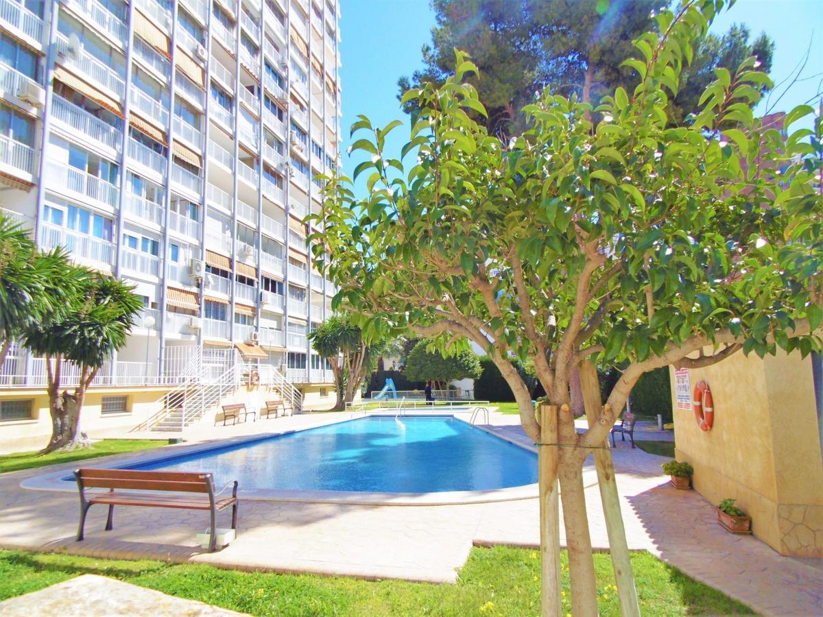 Albatros 13-1 Apartment Benidorm Exterior foto